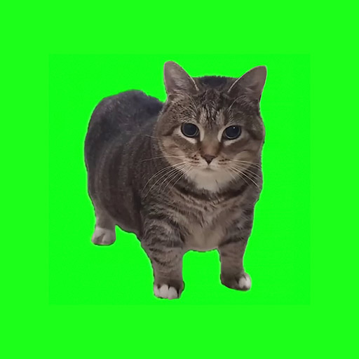 Fortnite Item Shop OIIA OIIA (Spinning Cat)