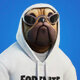 Shady Doggo - Fortnite Skin - Fortnite.GG